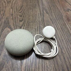 Google Nest Mini in Light Gray with Charger
